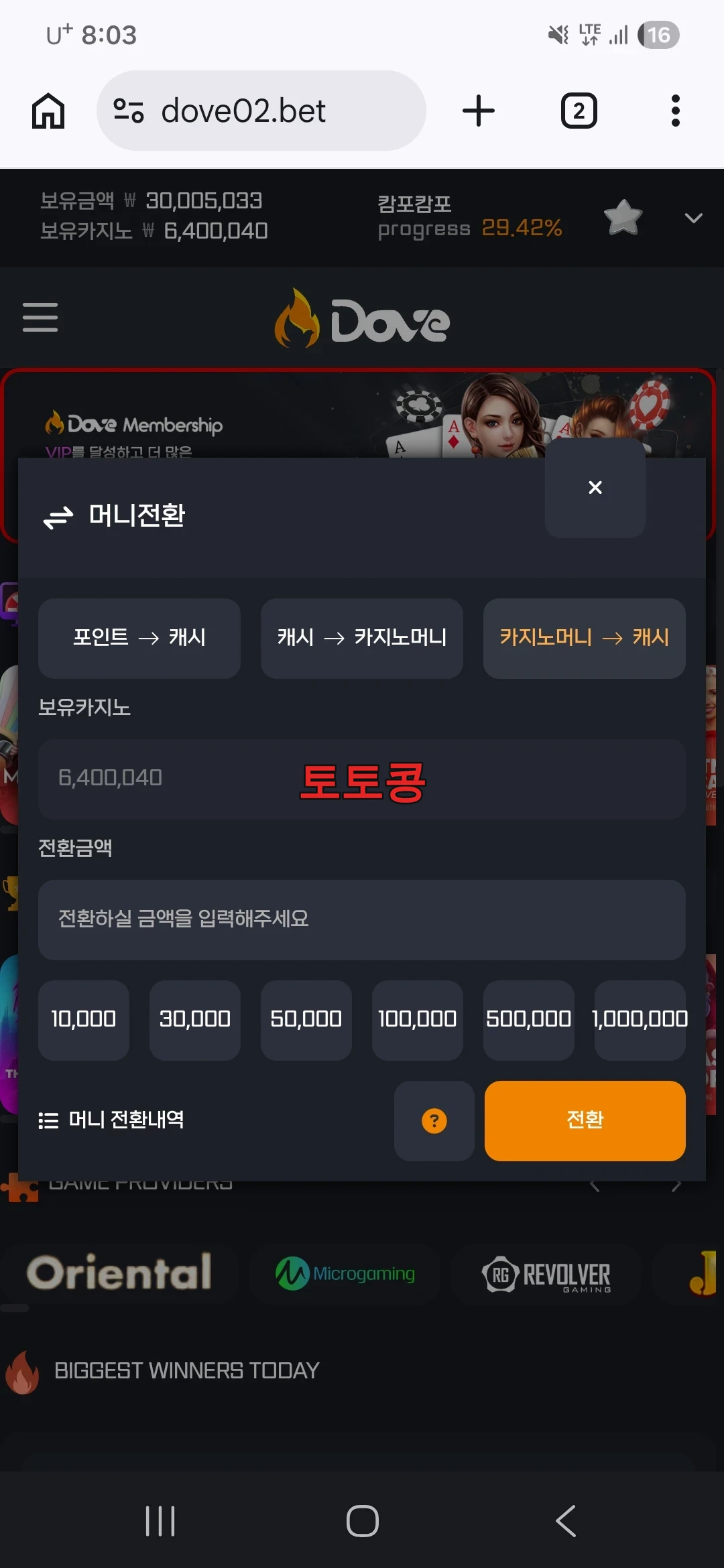 도브 먹튀 피해 증빙 이미지 3