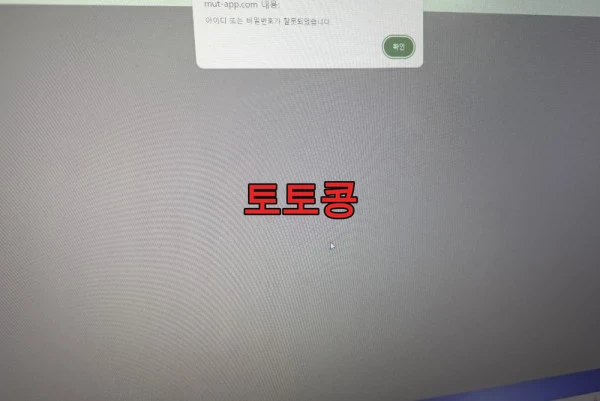 머스트잇 현재:올패스 먹튀 피해 증빙 이미지 3