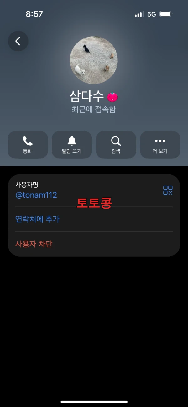 디나인 먹튀 피해 증빙 이미지 6