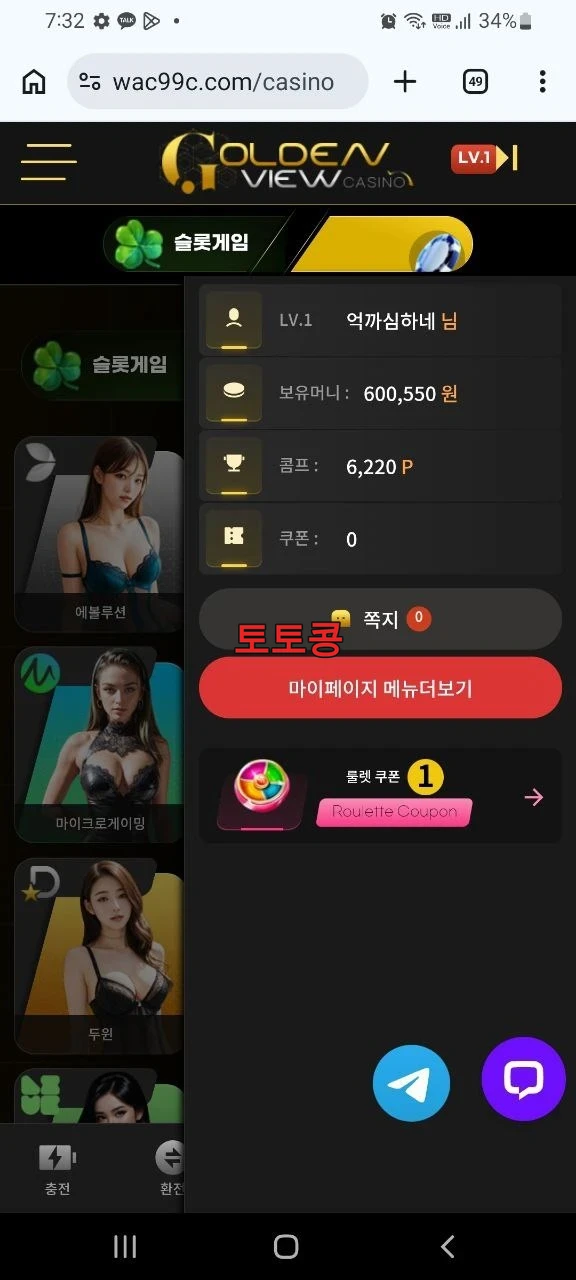 골든뷰 먹튀 피해 증빙 이미지 3