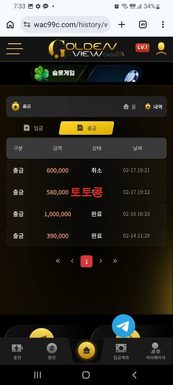 골든뷰 먹튀 피해 증빙 이미지 2