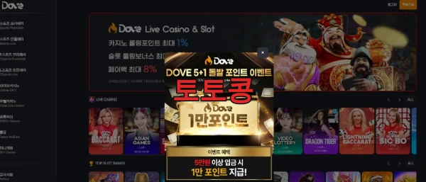 도브 먹튀 피해 증빙 이미지 1